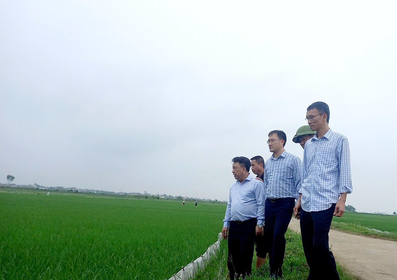 Sở Nông nghiệp & Môi Trường; lãnh đạo UBND xã Tùng Lộc kiểm tra sản xuất