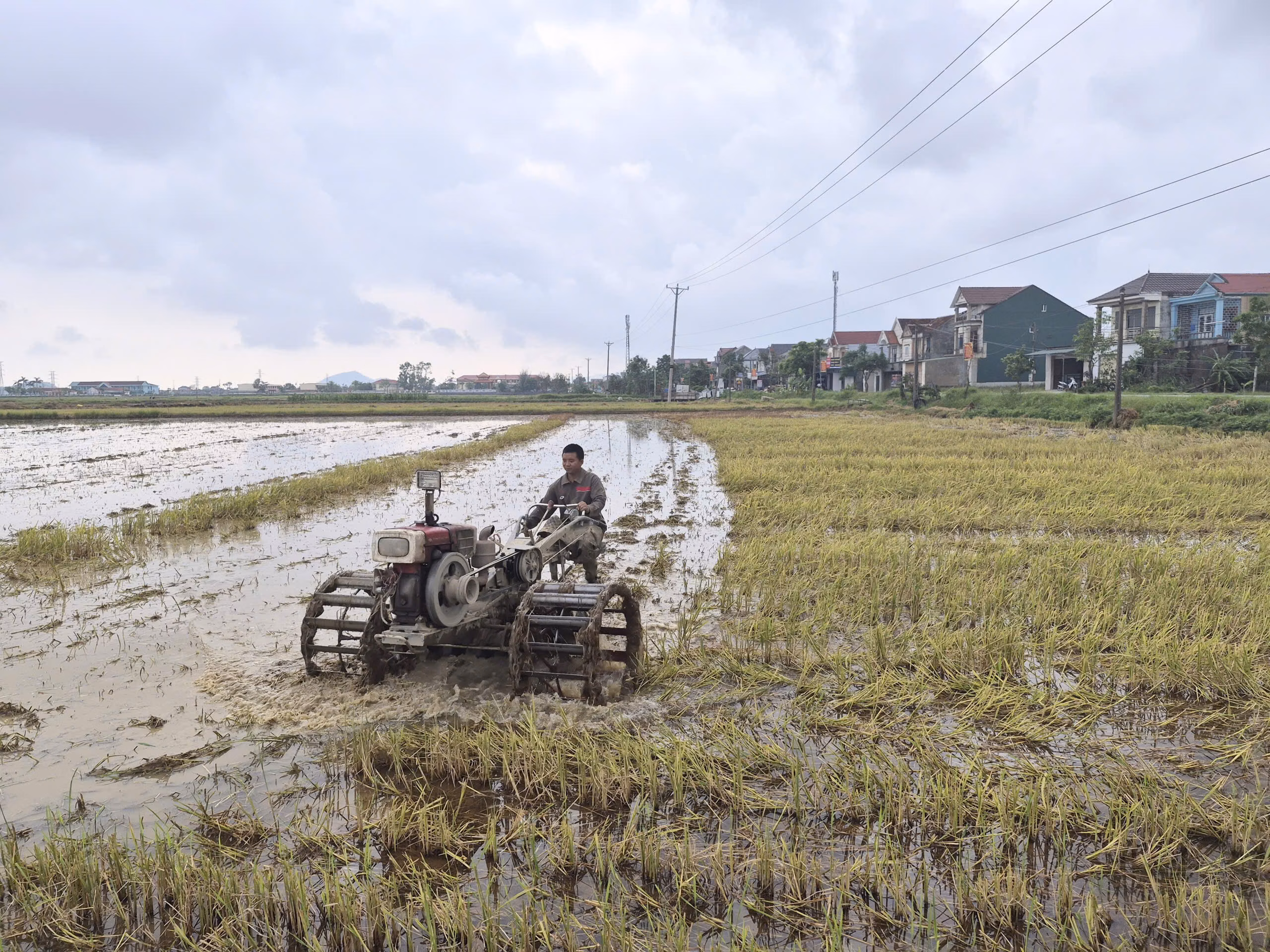 Nông dân Tùng Lộc làm đất, chuẩn bị sản xuất Hè Thu