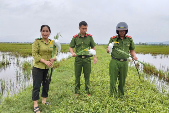 Tùng Lộc ra quân xử lý tình trạng bẫy bắt chim hoang dã, chim di cư