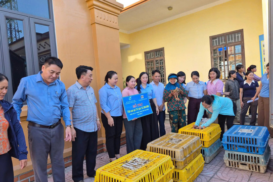 Hội LHPN xã Tùng Lộc ra mắt mô hình "Tổ hợp tác chăn nuôi gà" và trao tặng sinh kế cho hội viên 
