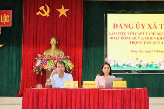 Đảng ủy xã Tùng Lộc tổ chức hội nghị làm việc với Cấp ủy Chi bộ các thôn